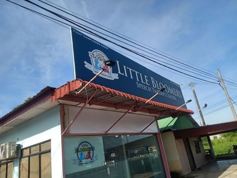 Little Bloomers Speech Therapy Centre