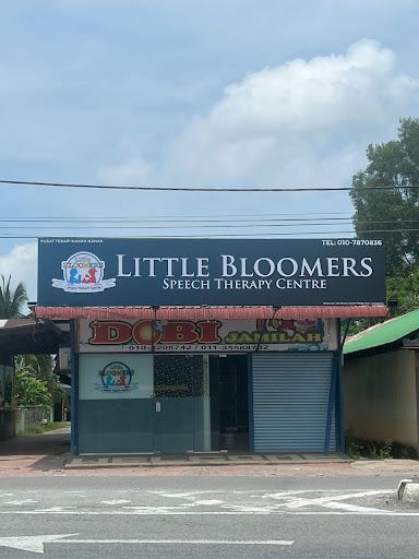 Terapi Pertuturan Terbaik di Alor Setar